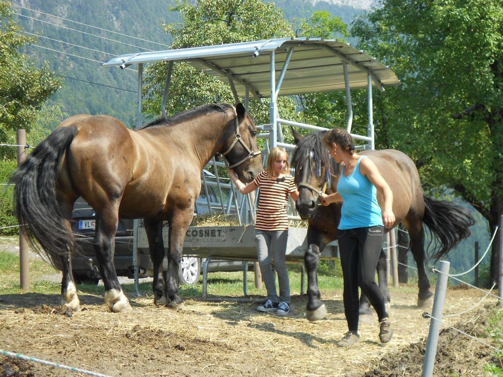 Ferienwohnung Andritsch Sankt Georgen im Gailtal Exterior photo